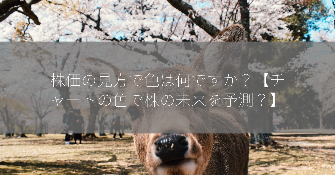 株価の見方で色は何ですか？【チャートの色で株の未来を予測？】